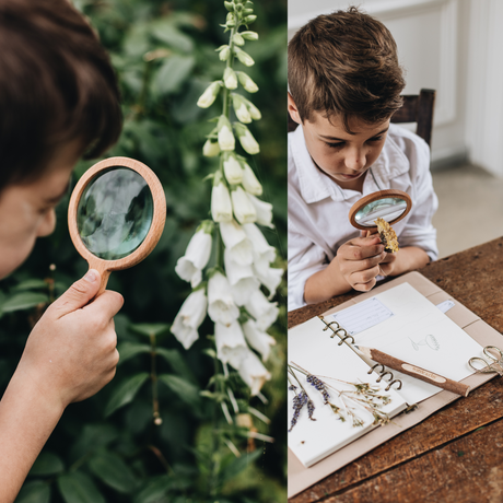 Budding Botanist Discovery Set - Wattle&Clay