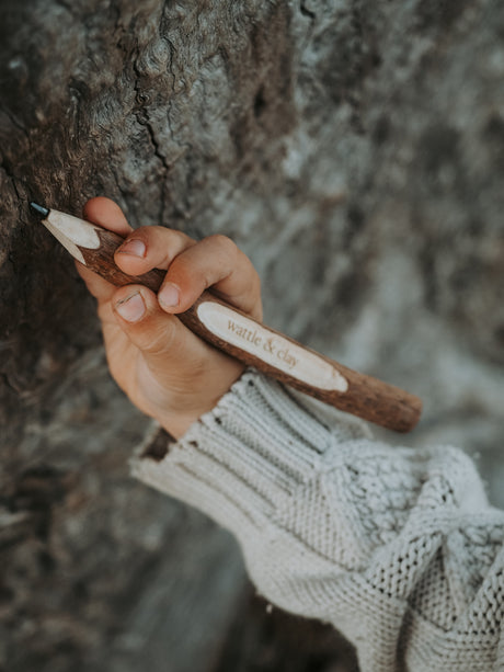explorers twig pencil 