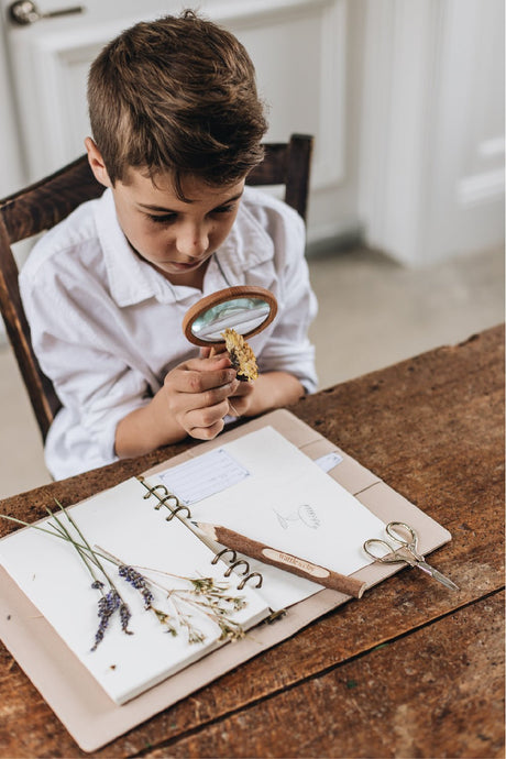 Beech Wood Magnifying Glass in Case - Wattle&Clay