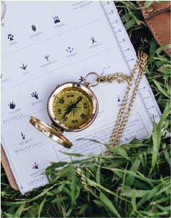 Brass Compass in nature