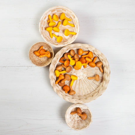 grapat wooden mandala pumpkins