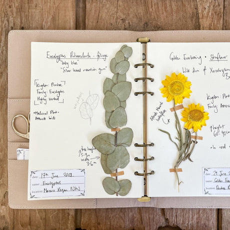 Flora Herbarium Journal - Capture Flowers, Plants & Leaves to Treasure - Wattle&Clay