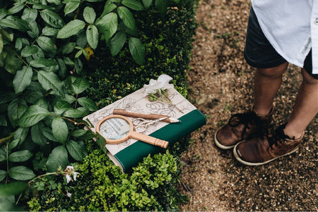 Flora Herbarium Journal - Capture Flowers, Plants & Leaves to Treasure - Wattle&Clay