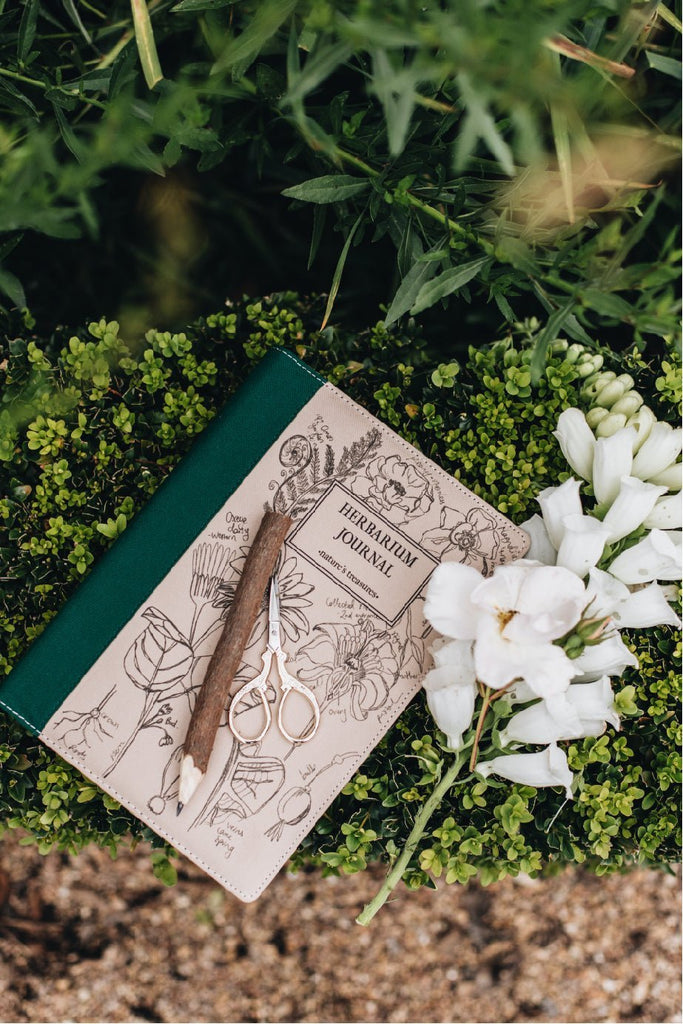 Natural Twig Wattle and Clay Pencil - Wattle&Clay