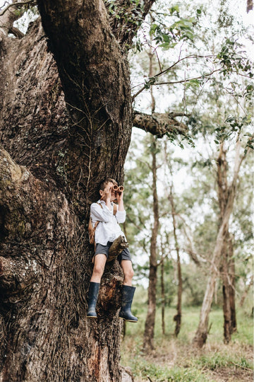Wooden Binoculars - Beechwood - Wattle&Clay
