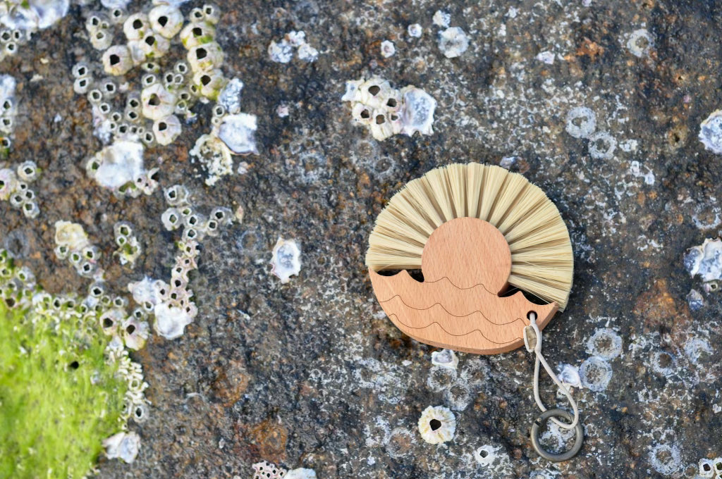 Beach Brush Sand Remover on Rocks