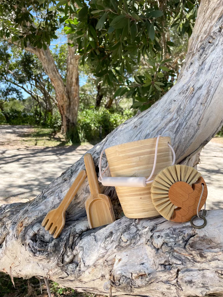 Beach Brush Sand Remover and Bucket Set